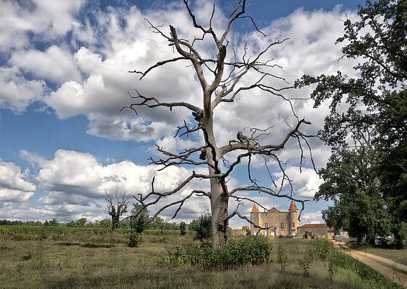 ChateauDeCaumale2