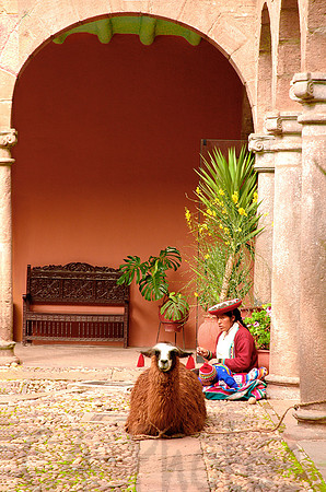 Mama & Llama1
