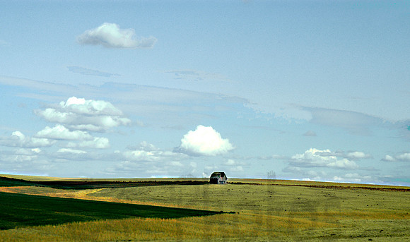 Barn in distance